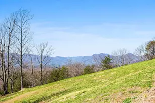 25 Preservation Trail, Columbus, NC 28722 - Photo 16