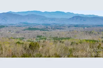 Tbd Williams Loop, Columbus, NC 28722 - Photo 16