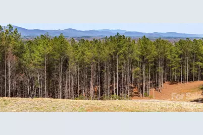 Tbd Williams Loop, Columbus, NC 28722 - Photo 8