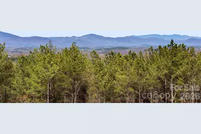 Tbd Williams Loop, Columbus, NC 28722 - Photo 14