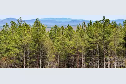 Tbd Williams Loop, Columbus, NC 28722 - Photo 12