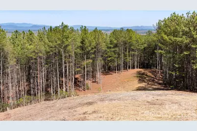 Tbd Williams Loop, Columbus, NC 28722 - Photo 10