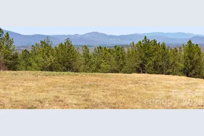 Tbd Williams Loop, Columbus, NC 28722 - Photo 4