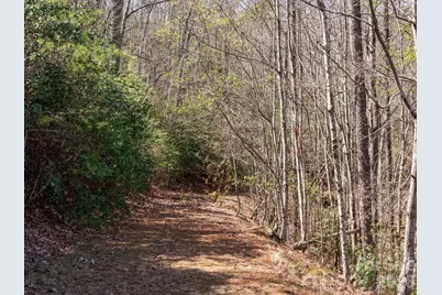 Tbd Williams Loop, Columbus, NC 28722 - Photo 30