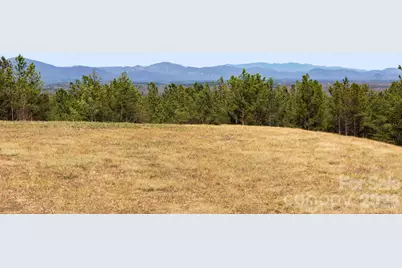 Tbd Williams Loop, Columbus, NC 28722 - Photo 2