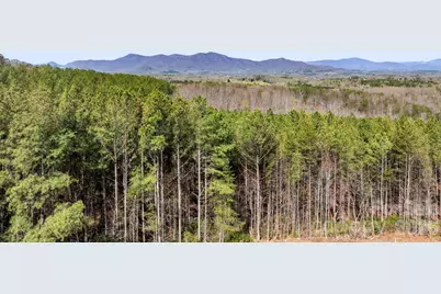 Tbd Williams Loop, Columbus, NC 28722 - Photo 20