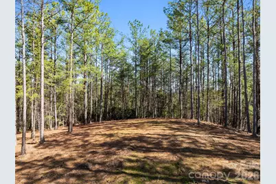 Tbd Williams Loop, Columbus, NC 28722 - Photo 28
