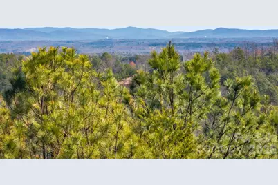 Tbd Williams Loop, Columbus, NC 28722 - Photo 18