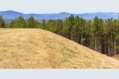 Tbd Williams Loop, Columbus, NC 28722 - Photo 6