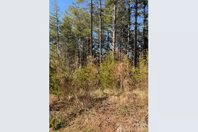 32 Clear View Way #133 PH 2, Nebo, NC 28761 - Photo 4