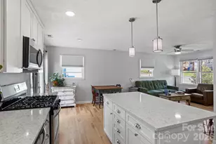 25 Ridgelawn Rd, Asheville, NC 28806 - Photo 16