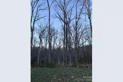 0000 Berea Avenue, Connelly Springs, NC 28612 - Photo 1