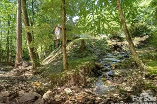 347 Blackberry Inn Rd, Weaverville, NC 28787 - Photo 30