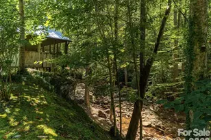 347 Blackberry Inn Rd, Weaverville, NC 28787 - Photo 40