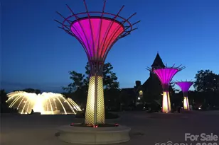 503 Old High Ct, Rock Hill, SC 29730 - Photo 26