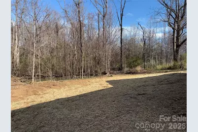 4540 McAlpine Avenue, Morganton, NC 28655 - Photo 2