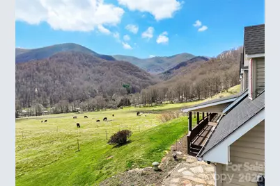 371 Ned Cove Road, Waynesville, NC 28785 - Photo 4