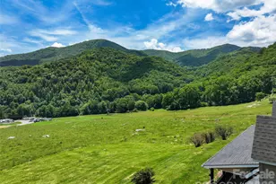 371 Ned Cove Rd, Waynesville, NC 28785 - Photo 10