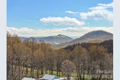 371 Ned Cove Road, Waynesville, NC 28785 - Photo 30