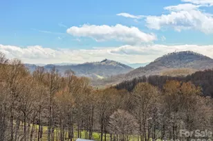 371 Ned Cove Rd, Waynesville, NC 28785 - Photo 30