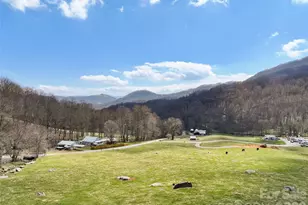 371 Ned Cove Rd, Waynesville, NC 28785 - Photo 22