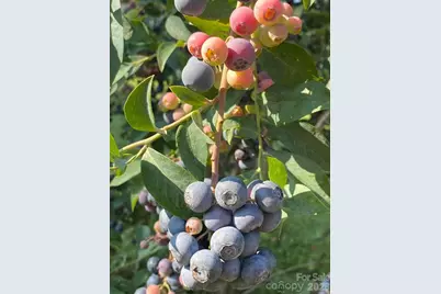 4951 Burns Road, Granite Falls, NC 28630 - Photo 34