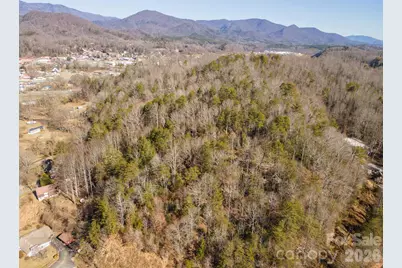 717 Bat Cave Road, Old Fort, NC 28762 - Photo 8