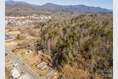 717 Bat Cave Road, Old Fort, NC 28762 - Photo 6