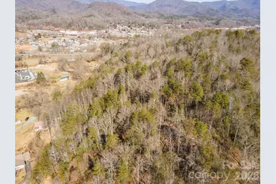 717 Bat Cave Road, Old Fort, NC 28762 - Photo 10