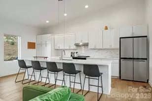 306 Broad Vis Ln, Asheville, NC 28804 - Photo 12