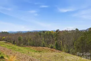 265 Fox Cove Rd, Hendersonville, NC 28792 - Photo 36