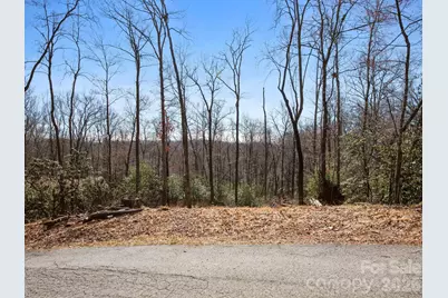 0 Alpen Rose Way #2, Mills River, NC 28759 - Photo 6