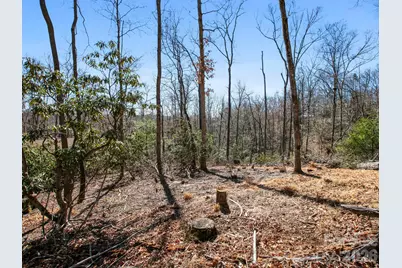 0 Alpen Rose Way #2, Mills River, NC 28759 - Photo 10