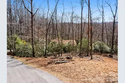 0 Alpen Rose Way #2, Mills River, NC 28759 - Photo 22