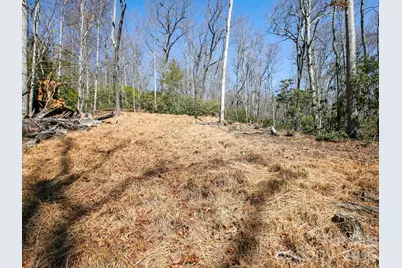 0 Alpen Rose Way #2, Mills River, NC 28759 - Photo 8