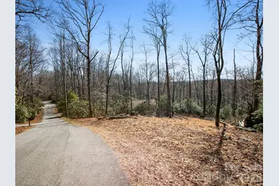 0 Alpen Rose Way #2, Mills River, NC 28759 - Photo 12