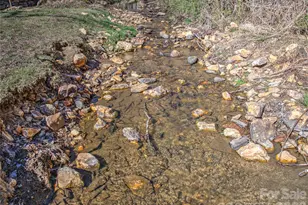 879 New Haw Creek Rd, Asheville, NC 28805 - Photo 26