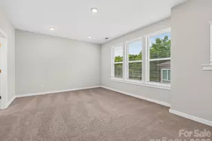 1136 Bismuth Ln, Charlotte, NC 28211 - Photo 20