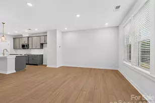 1136 Bismuth Ln, Charlotte, NC 28211 - Photo 16