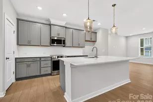 1136 Bismuth Ln, Charlotte, NC 28211 - Photo 2