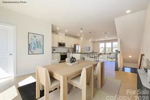 1136 Bismuth Ln, Charlotte, NC 28211 - Photo 4