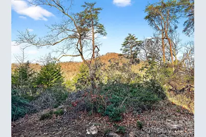 345 Lower Switchback Road, Union Mills, NC 28167 - Photo 30