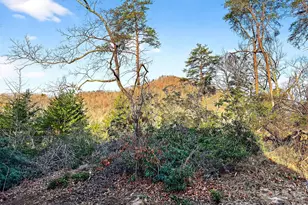 345 Lower Switch Back Rd, Union Mills, NC 28167 - Photo 30