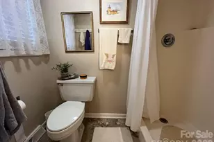 141 Glen Cannon Point, Pisgah Forest, NC 28768 - Photo 10