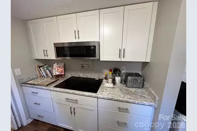 141 Glen Cannon Point #Unit 2, Pisgah Forest, NC 28768 - Photo 6