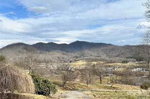 330 Potts Dr, Waynesville, NC 28785 - Photo 6