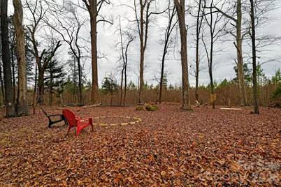 115 Red Fox Court #58, Mount Holly, NC 28120 - Photo 4