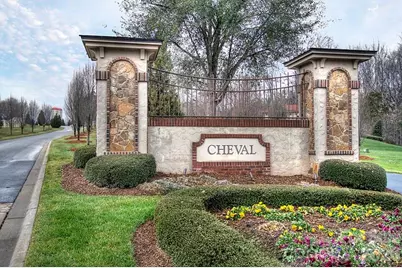 4113 Piaffe Avenue, Mint Hill, NC 28227 - Photo 46