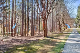 104 Kestrel Ct, Mount Holly, NC 28120 - Photo 36