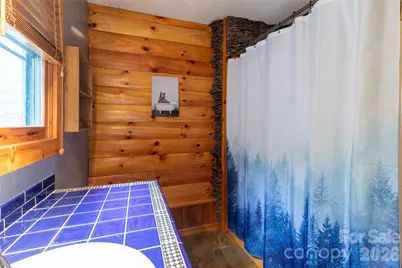 275 Conard Circle, Bryson City, NC 28713 - Photo 10